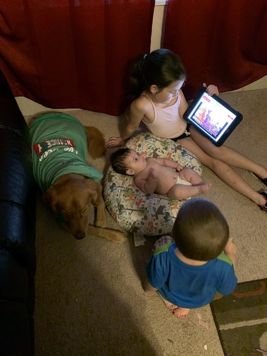 KauffmanSES's tweet image. Everyone enjoyed the read aloud for Adriana’s eLearning day! @Mrs_Pittenger #LPSelma #PittCrew