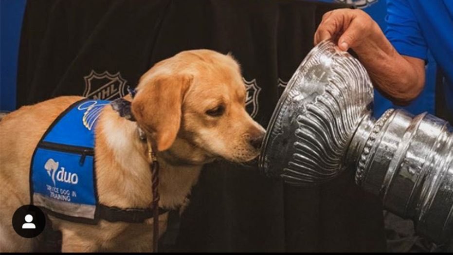 emmma_laurren's tweet photo. Telling my kids this is Wayne Gretzky. @StLouisBlues https://t.co/W7IIfRQrbj