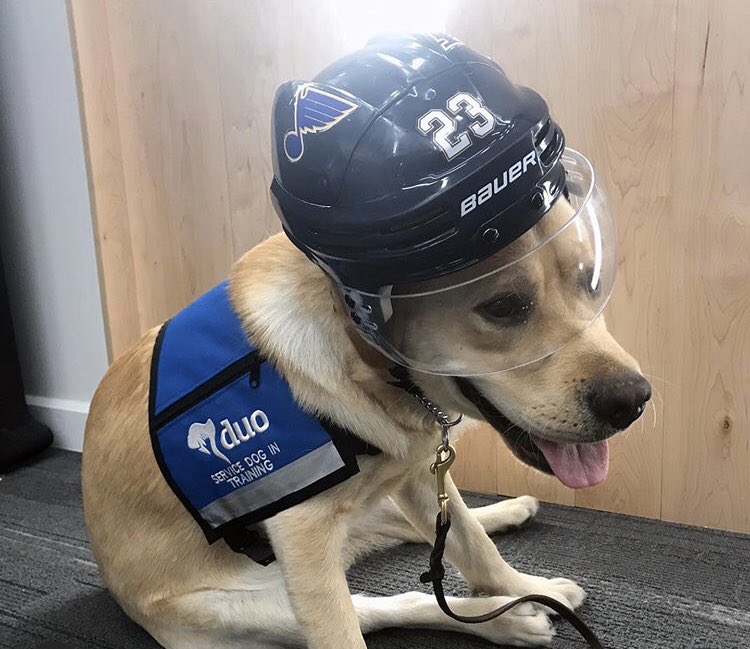 emmma_laurren's tweet photo. Telling my kids this is Wayne Gretzky. @StLouisBlues https://t.co/W7IIfRQrbj