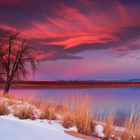 Red and white, Good Night 🍷❤️🌹