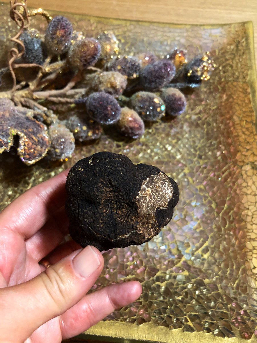 Trufa negra #Melanosporum de Aragón, ¡comienza la temporada! Diamante negro de nuestra #gastronomía que se cultiva y recoge en nuestras tres provincias para que disfruten los más #foodies del planeta. <a href="/aragonalimentos/">Aragón Alimentos</a> <a href="/aragonturismo/">Turismo de Aragón</a> <a href="/GobAragon/">Gobierno de Aragón</a> #comparteelsecreto