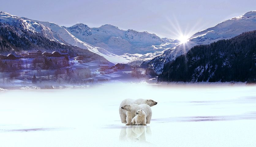 AmethystTravel's tweet photo. #Polar #adventure #travel deals to start 2020 with a bang!! Up to £200 per person discounts. Limited numbers. Book now https://t.co/dYWzT5hcPj https://t.co/aC8u3AYUrI