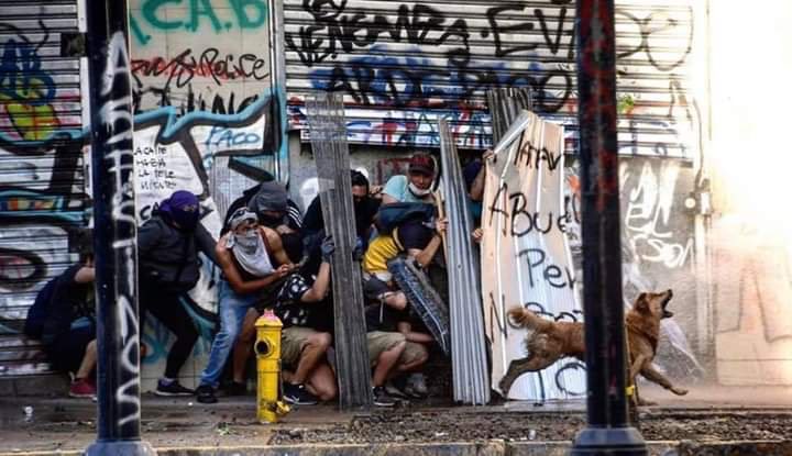 SuavesLomitos's tweet photo. Lomito revolucionario 💪 https://t.co/7OLPtd8MC8