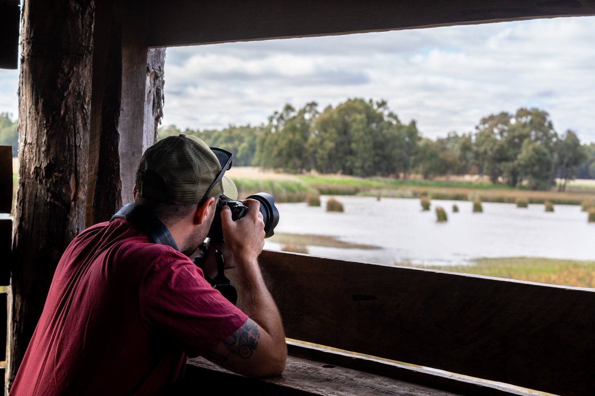 NOMADasaurus's tweet photo. We headed to the Reed Beds Bird Hide, which is a short boardwalk that goes to the edge of a huge wetland, with an observation tower. This place has a huge number of migratory birds that call the wetlands home (some come from as far away as Serbia!). #NewSouthWales #VisittheMurray https://t.co/EjRgUqNQlu