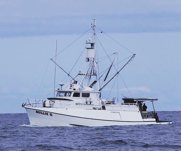 American Tuna on Twitter: "It's easy to get caught up in the moment but our actions today impact our oceans tomorrow. Let's not be so short sighted like those other tuna companies,