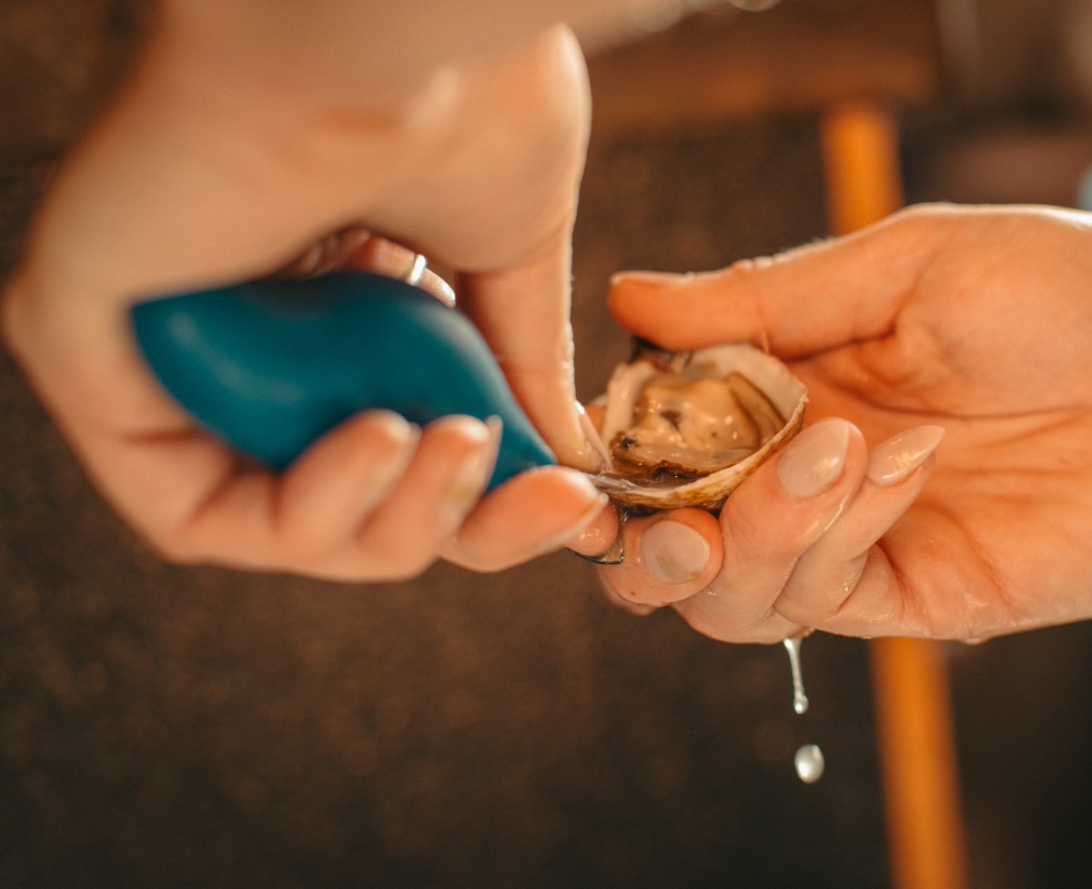 We do the shuckin', you do the slurpin' !
Every Thursday starting at 3pm, join us for <a href="/taylorshellfish/">Taylor Shellfish</a> oysters alongside bubbly drink specials 🐚🍾 #TaylorShellfish #oysternight