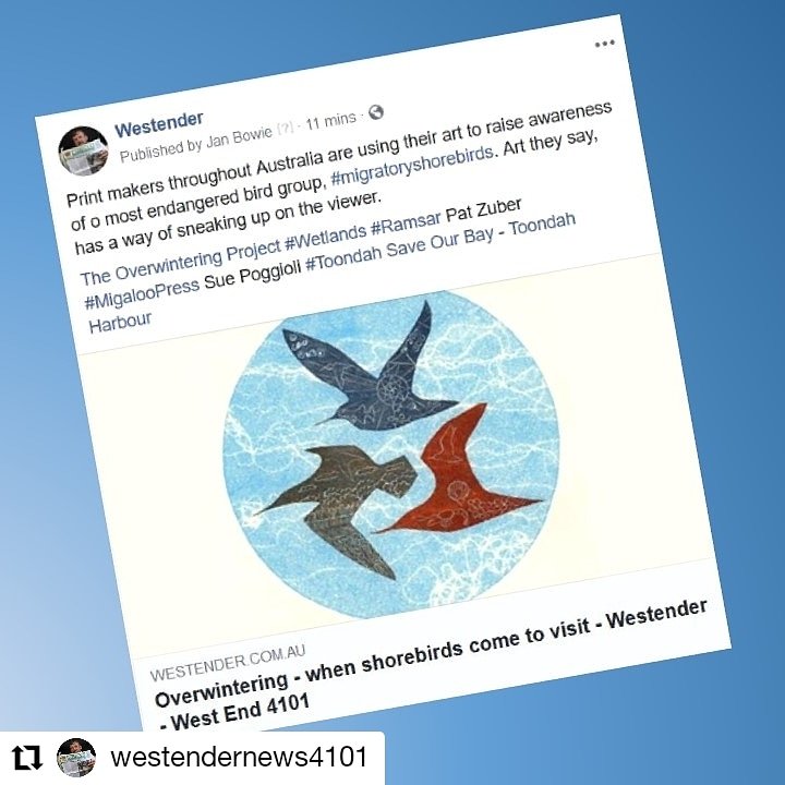 Print makers throughout Australia are using their art to raise awareness of our most endangered bird group, migratory shorebirds. Read more at westender.com.au
@WestenderNews

#TheOverwinteringProject #ToondahHarbour @RamsarConv @Redlands2030 #ClimateEmergency @BirdlifeOz