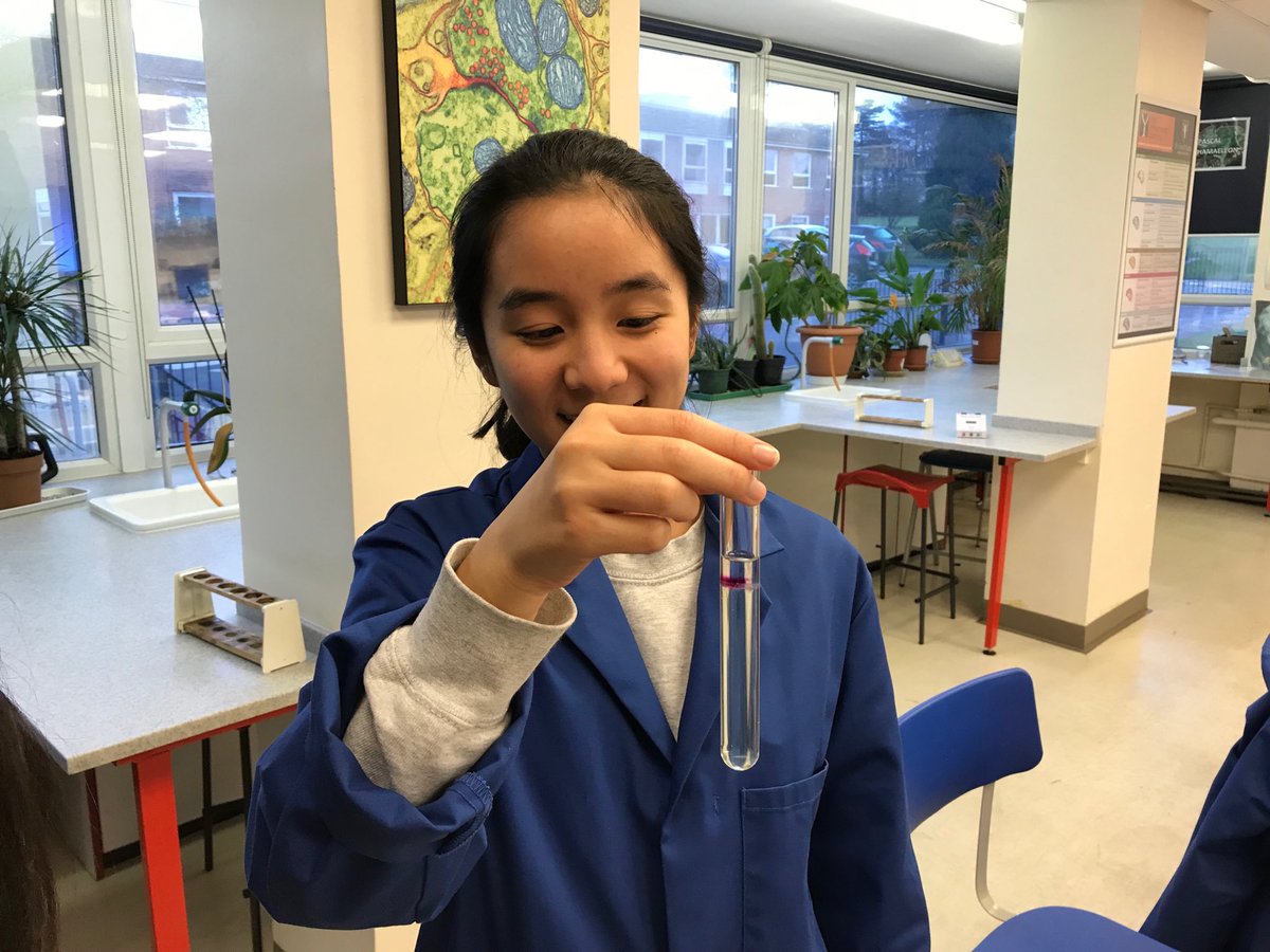 StSwithunsBio's tweet photo. L6 biologists amazed by their own cheek cells’ DNA! #stswithunsbio #stswithunsfun #hpl #dna #stswithunsL6 #stswithunsscience https://t.co/2cOXpgAkTW