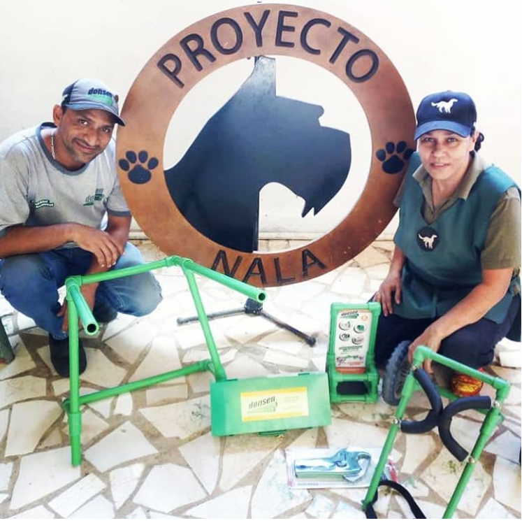 Un recuerdo de nuestro trabajo con nuestros amigos de proyecto Nala 
#TBT #DonsenVenezuela