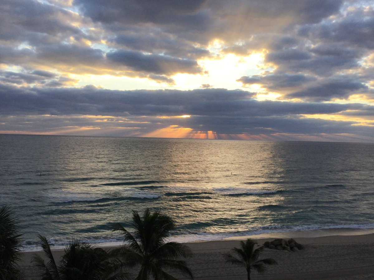 Le Soleil s’est levé sur son dernier matin . Notre ange du théâtre nous a quitté à jamais.  Son infinie douceur, sa voix, son cœur d’or sa présence unique... Notre monde est en deuil et mon coeur en lambeaux.
#AndreeLachapelle