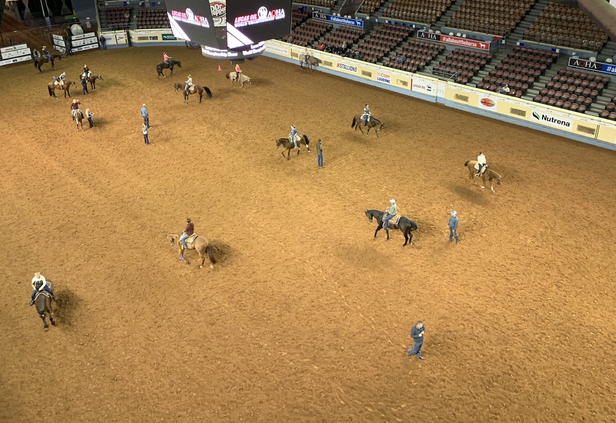 L2 exhibitors prepare for their horsemanship finals tomorrow. Good luck, everyone! #GetThatGlobe ⁦<a href="/Lucas_Oil/">Lucas Oil Products</a>⁩ World ⁦<a href="/AQHA/">AQHA</a>⁩