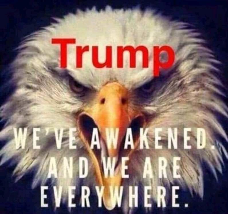MeriDaco745's tweet photo. #Trump2020LandslideVictory https://t.co/poarEu7VMm