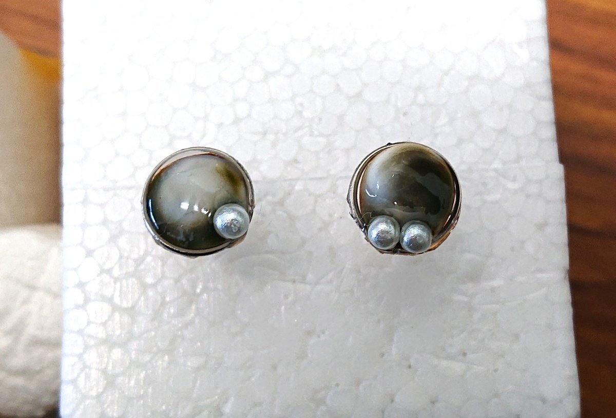 旭川医大寄生虫学講座 巻き貝のフタで作ったピアス 貝が好きな方が集まるちょっとしたパーティーにつけていこうと思ってる ちなみに 貝本体は寄生虫を調べるために割ってしまったが 食べてもおいしいスガイだよ