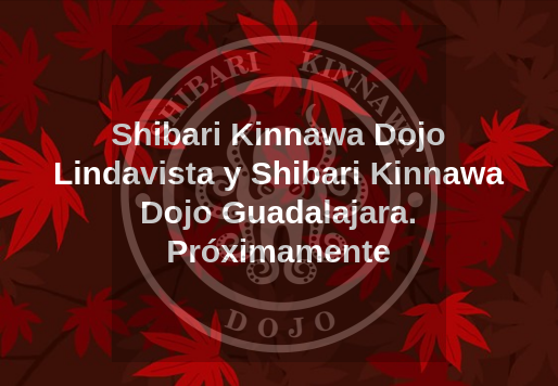 ShibariKinnawa's tweet photo. Estamos muy emocionados 🥳
#ShibariKinnawaDojo en #Lindavista y #Guadalajara :D

Próximamente más detalles! :) https://t.co/evdyTnjgsL