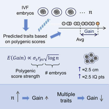 IlanDean's tweet photo. For those concerned about designing smarter babies - important study in Cell by Ehud Karavani, Or Zuk Danny Zeevi, Max Lam, Todd Lencz, Shai Carmi - importantly shows limited utility of screening for polygenic traits. https://t.co/9RgtMxOFOY