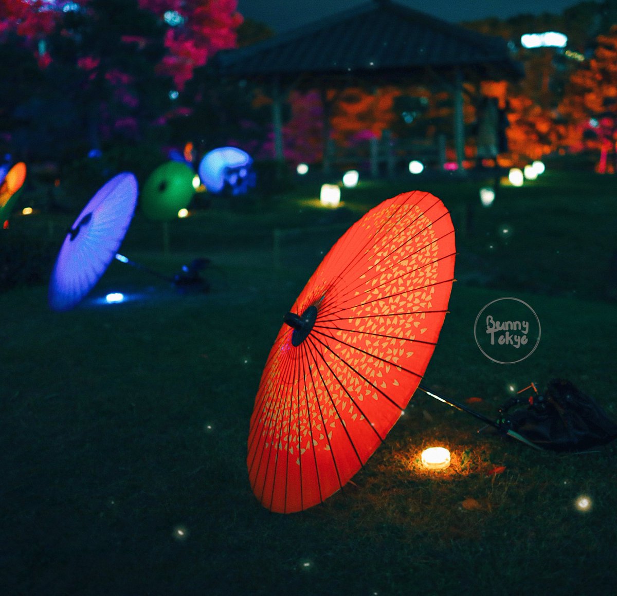 BunnyTokyoJP's tweet photo. [+Español] From the 20th to the 23rd at one of the oldest Daimyo gardens in #Tokyo you can enjoy a slice of #Edo with a side of enchanting Autumn illumination [...]https://t.co/C3fhQwf5h0  ♥️ #fallinjapan #suntorytimes https://t.co/N8bSmPS9bU