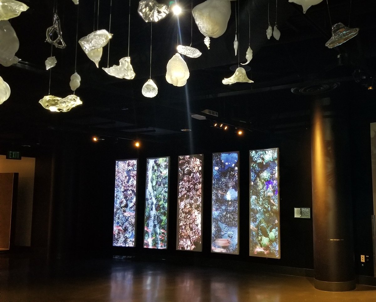 Virtual Planet Technologies LLC tweet media