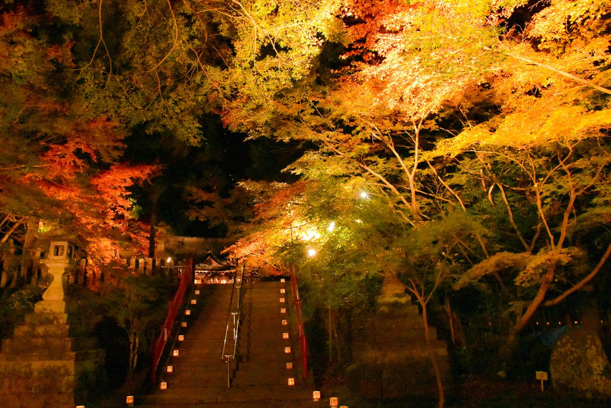 ひみこちゃん Ar Twitter 桜井市内の紅葉巡り最後は 等彌神社のライトアップ ちょっと寒かったけど 昼間とは違う趣があって夜もキレイやった 等彌神社のライトアップは11 26 火 まで 奈良県 桜井市 等彌神社 紅葉 ライトアップ ひみこちゃん Ar Twitter 桜井市内の紅葉巡り最後は 等彌神社のライトアップ ちょっと寒かったけど 昼間とは違う趣があって夜もキレイやった 等彌神社のライトアップは11 26 火 まで 奈良県 桜井市 等彌神社 紅葉 ライトアップ
