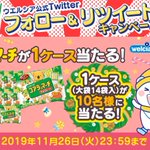 コアラのマーチ大袋を14袋もプレゼントする企画開催中らしい