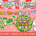 コアラのマーチ大袋を14袋もプレゼントする企画開催中らしい