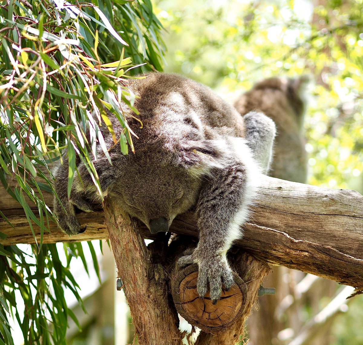 Sal Fotosbysal Twitter