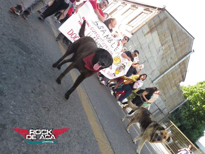 Marcha pacifica en la tarde en #Valdiviacl #CostaneraCenter #EnQuilicuraSeTortura #AlertaQuilicura #AsiVaElParo #PacosQliao #21Nov #ParoNacional21Nov #LosRios #renunciapiñera