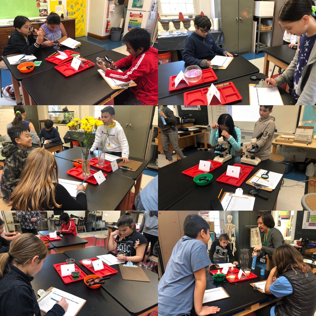 costello_lv's tweet photo. Learning in our Science Lab. What makes something living? What makes something non living? Students were able to inviatigate these things. Thanks Mrs. McBride for all the help! #LVLearns https://t.co/gNFrz3Ioxe