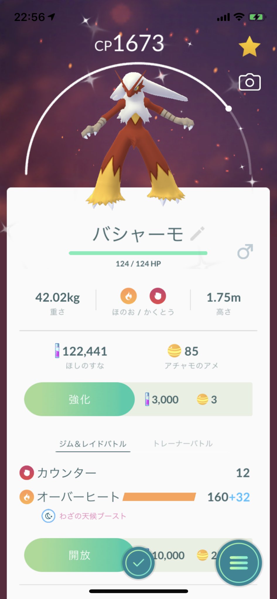 色違いワカシャモ Twitter Search Twitter
