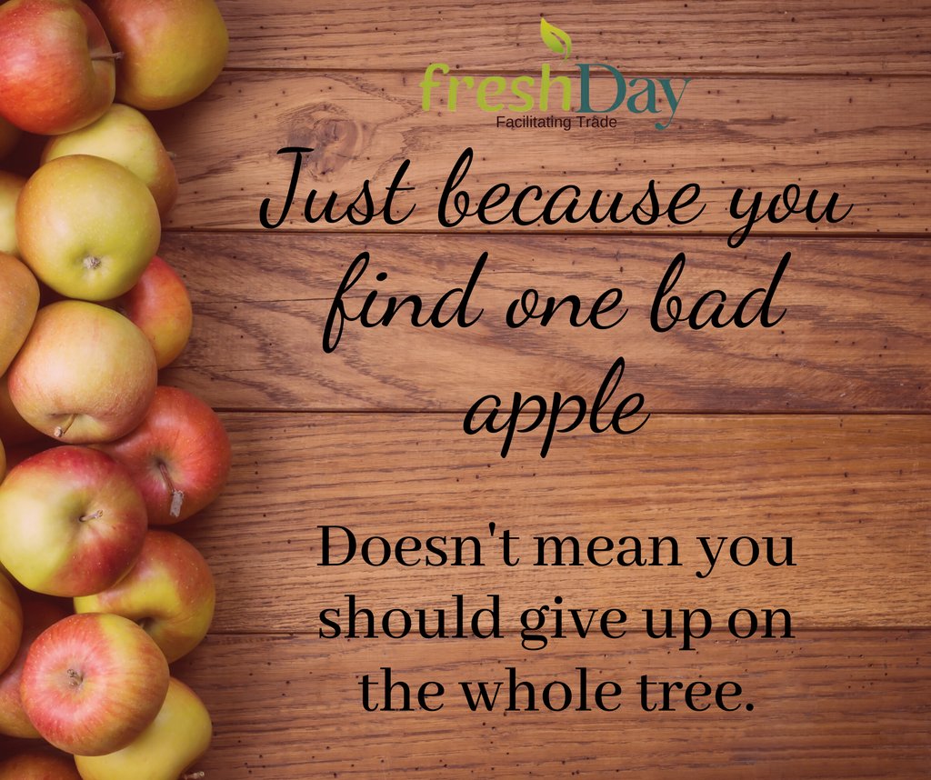 100 Beautiful Tree Quotes and Sayings | Routinely Nomadic, image size:1024x858