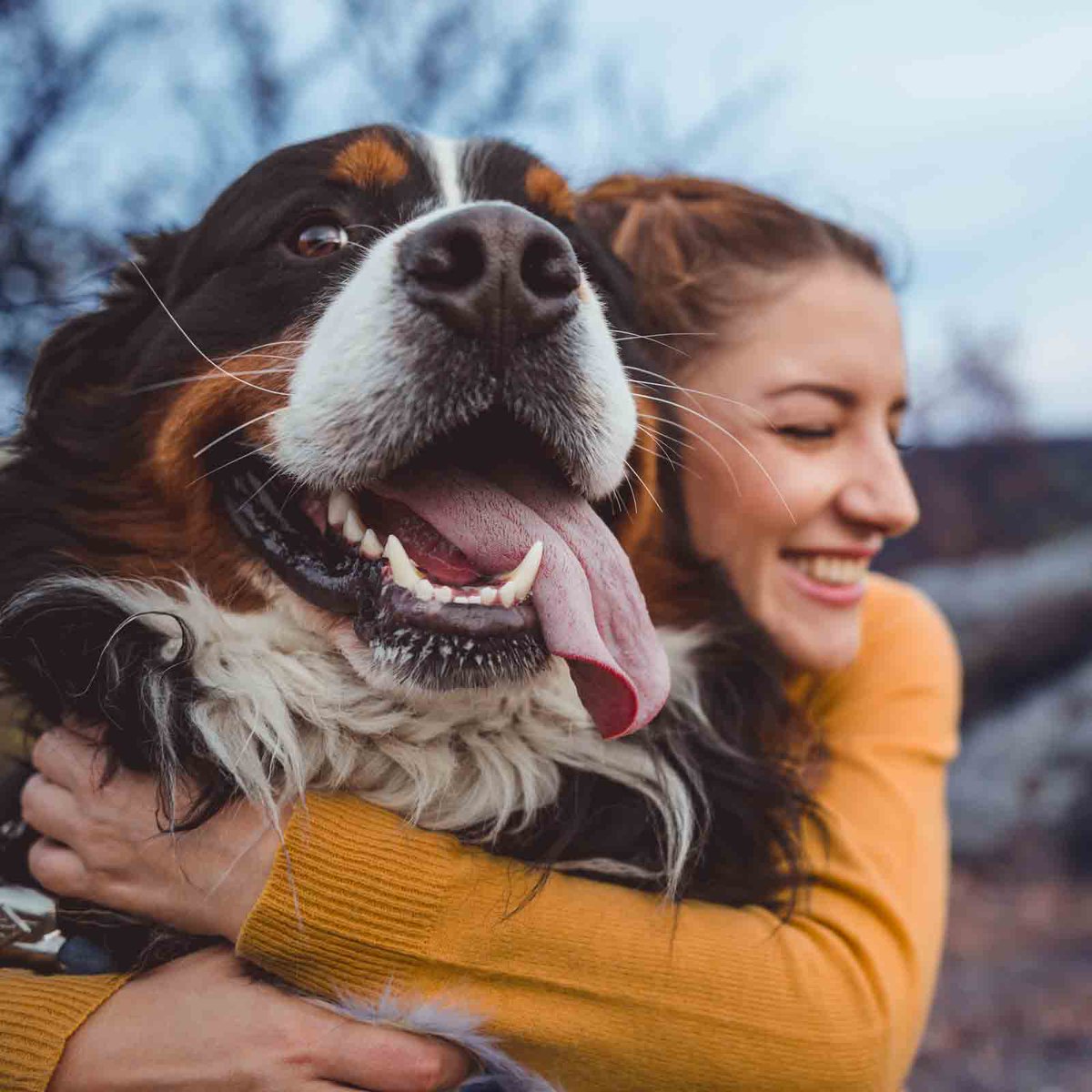 Few things can help a person feel better after a disaster. Holding on to a furry friend is one of them. That's why Farmers® offers pet therapy to help victims recover when they need it most. Click the link to learn more: youtube.com/watch?v=p6oRIN…