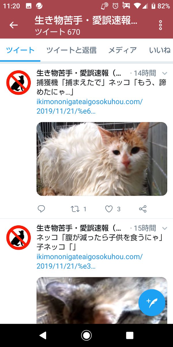 Green アドレスです 生き物苦手 愛誤速報 公式 Gato さんをチェックしよう T Co Wkglf1jyo4 Green アドレスです 生き物苦手 愛誤速報 公式 Gato さんをチェックしよう T Co Wkglf1jyo4
