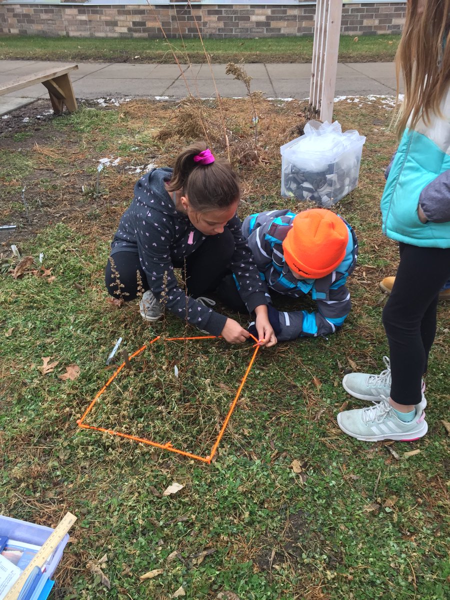 pollardclass477's tweet photo. Math Review in the Prairie Garden 😎 Students created yarn plots with an area of 900 square cm then calculated the perimeter. https://t.co/GZekdM2Irr