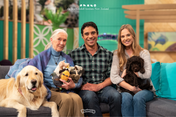 “Only if we understand, can we care. Only if we care, we will help. Only if we help, we shall be saved” Dr Goodall. Fanimals informs, engages &amp; connects young NZers with all things animals -<a href="/TVNZ/">TVNZ+</a> please keep going! 
More: thespinoff.co.nz/tv/21-11-2019/…

Petition: change.org/p/tvnz-we-want…