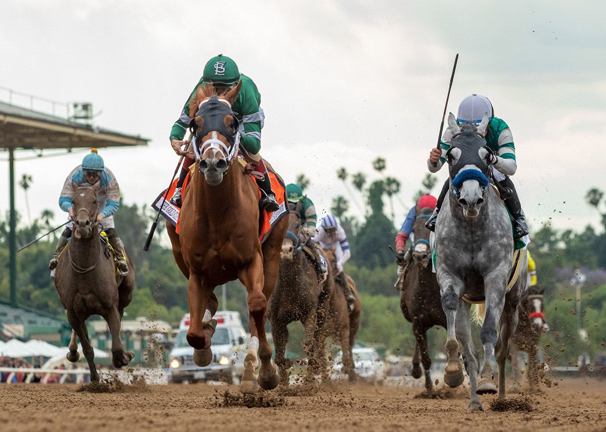 Led by new chairman Gregory Ferraro, the California Horse Racing Board