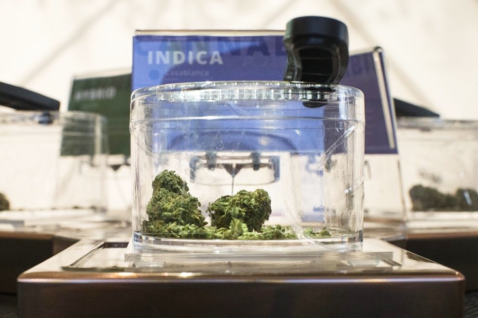 Finally after a year of sluggish sales, and much to the relief of licensed cannabis producers, the Ontario government is proposing moving to an “open allocation” system for issuing cannabis store licenses, in 2020.