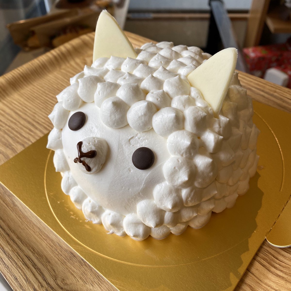 京都のケーキ屋 アンジー على تويتر ああ 今日もなんて可愛いんだろう アルパカさんケーキ アルパカ ケーキ もこもこ