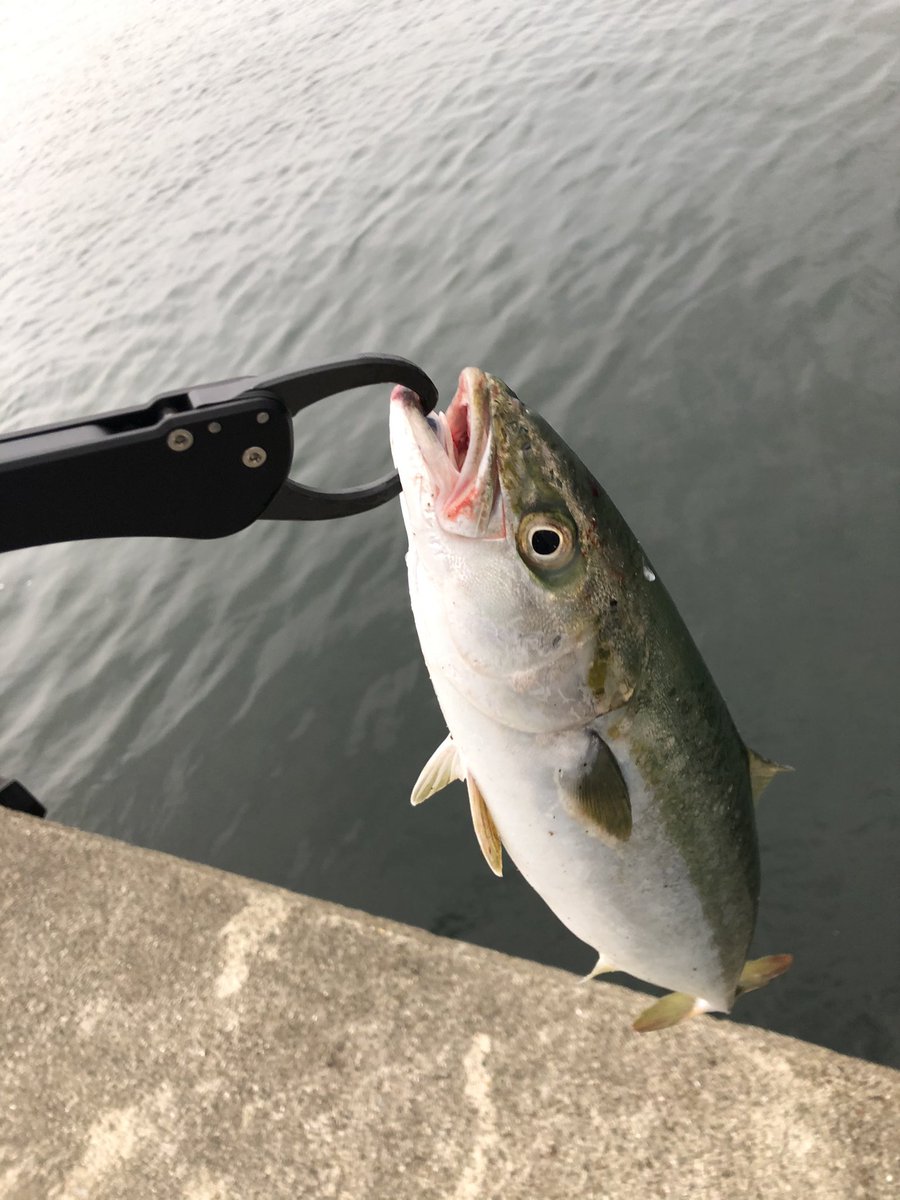 大西 Nauticalmile5 Twitter