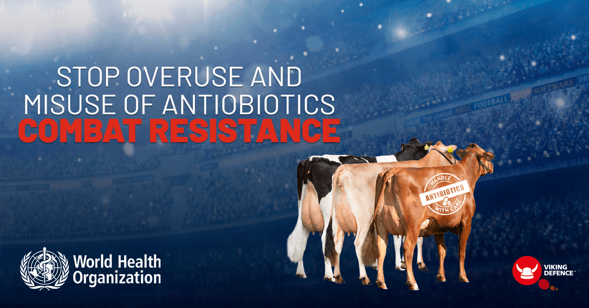VikingGenetics's tweet photo. Reduce the antibiotics use in your herd! Rely on VikingDefence™ bulls, they breed daughters with a natural defence against diseases.
Read more: https://t.co/LJMlwltrvH
#vikingdefence #vikinggenetics #innovativebreeding https://t.co/EF5C0w0yXL