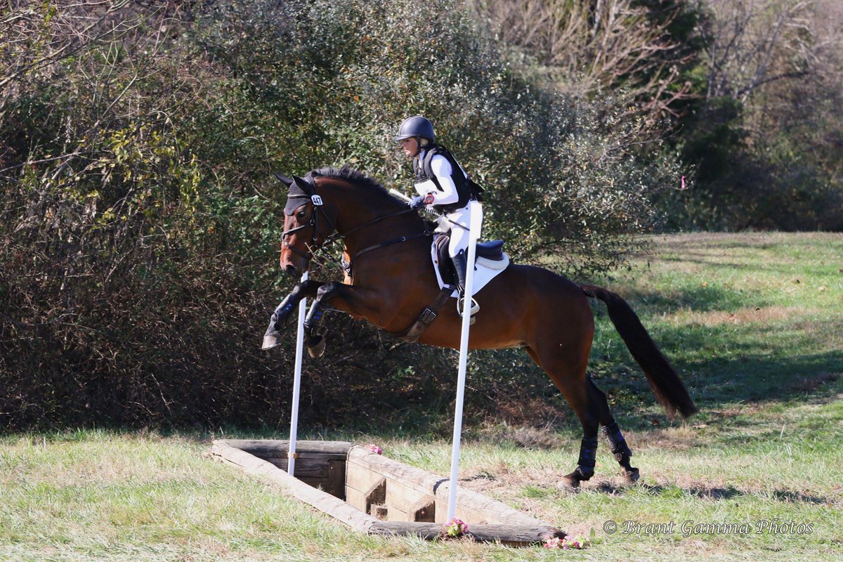 tateventing's tweet photo. Some favorites from VA. Love this boy https://t.co/bcShI3R37N
