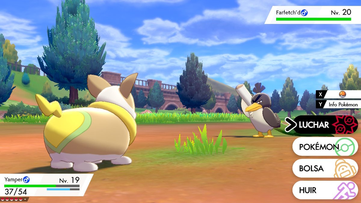 marioneta_'s tweet photo. #PokemonEspadaEscudo #NintendoSwitch https://t.co/QX6Voz2Qxe