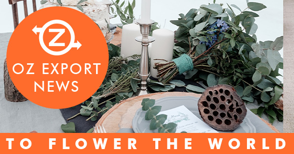 OZ Export tweet media