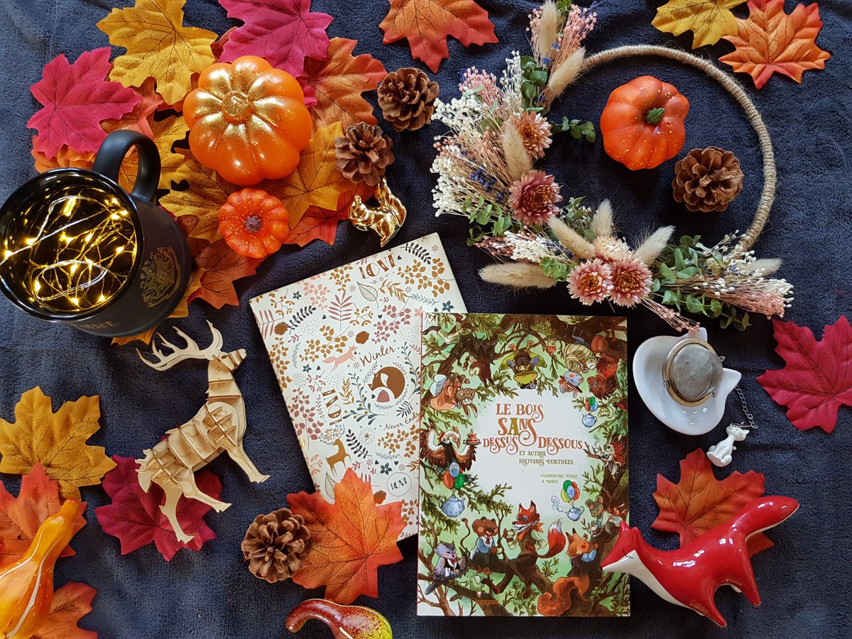 Une petite lecture parfaite sous un plaid avec une bonne tasse de thé ! @LeLumignon
#ClémentineFerry #Sanoe #coupdecoeur #jeunesse #nouvelle #bandesdessinées #albumjeunesse #automne #forêt #animauxmignons #thé
https://le-coin-lecture-emilie.blogspot.com/2019/11/le-bois-sans-dessus-dessous-et-autres.html …