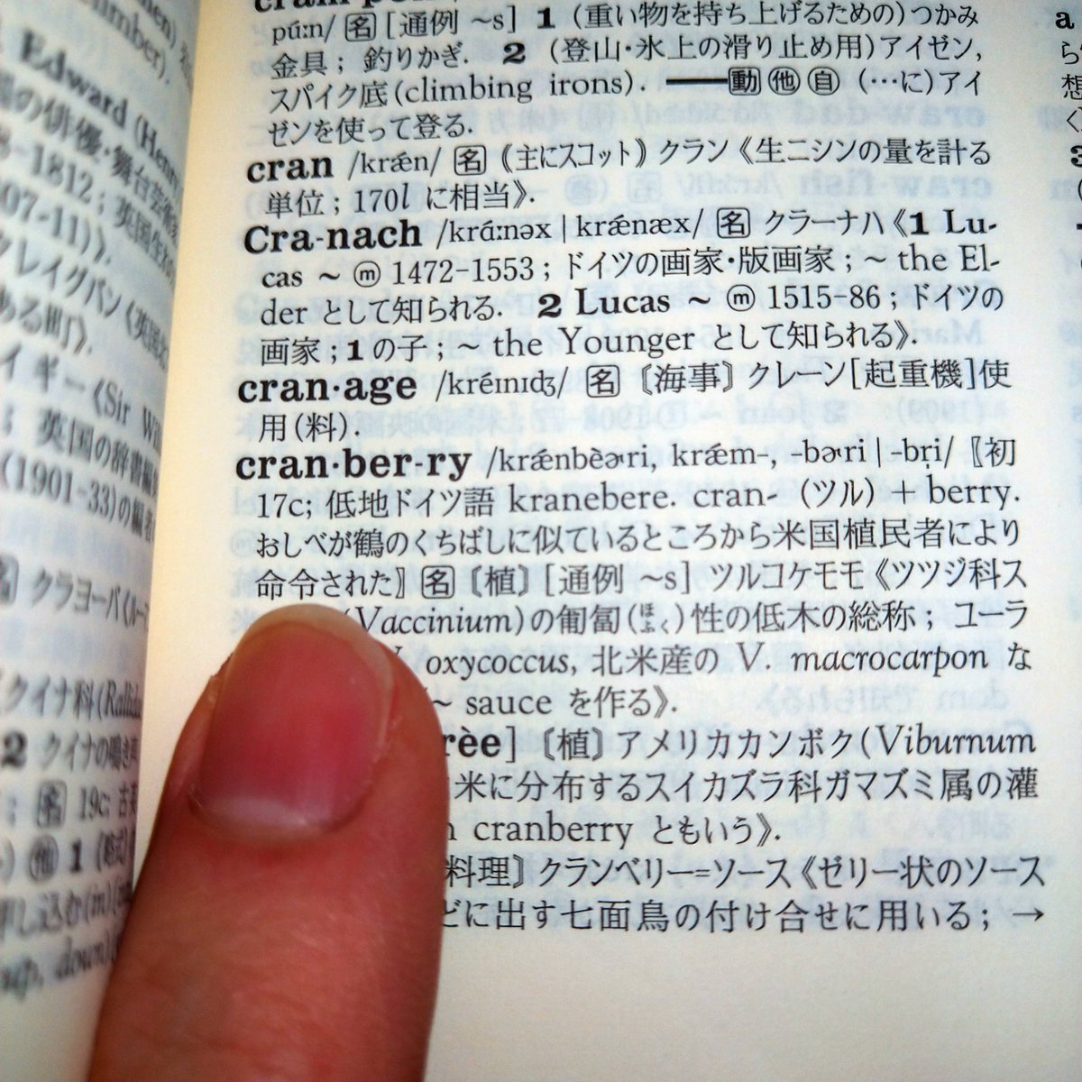 福光潤 Jf Twitterren ミニ英語 Cranberry クランベリー おしべが鶴 Crane のくちばしに似ているところから米国植民者により命令された とジーニアス英和大辞典にあるが へぇ と納得する一方 命令じゃなくて命名 とツッコミ Minieigo 英語学習