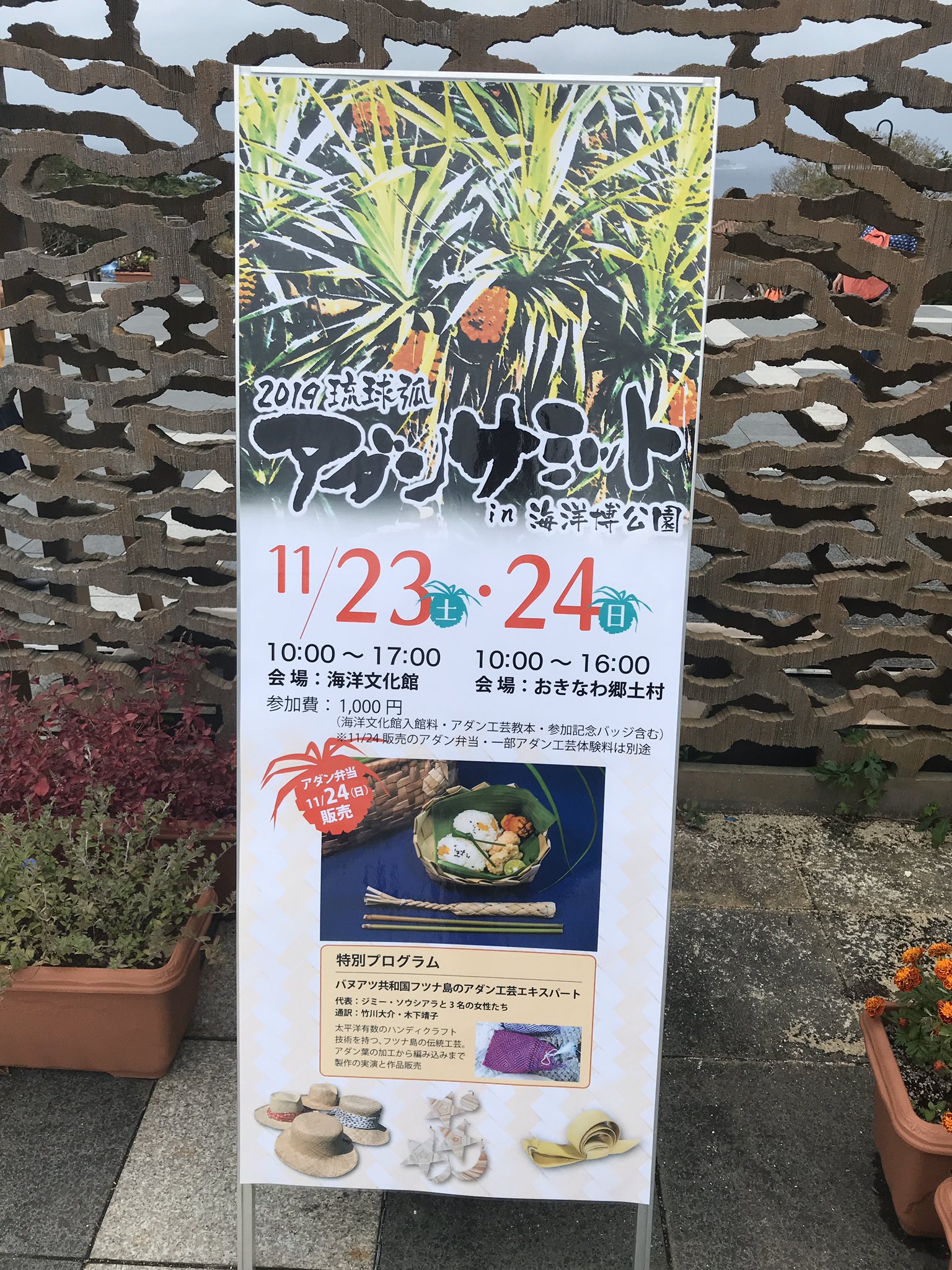 渋谷区ふれあい植物センター 軟式 スタッフ宮 A Twitteren 沖縄まで来て 嬉々となってクロゴキブリになっております 沖縄海洋博記念公園の熱帯ドリームセンター なかなかやりよる 明日から2日間アダン サミットだってよ アダンの国の首脳陣は出席必須