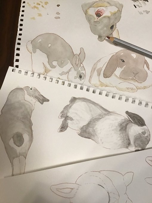 今日も描いてまーす✏️

明日明後日はお休みさせてください〜🙇‍♀️💦

#うさぎ #シール 