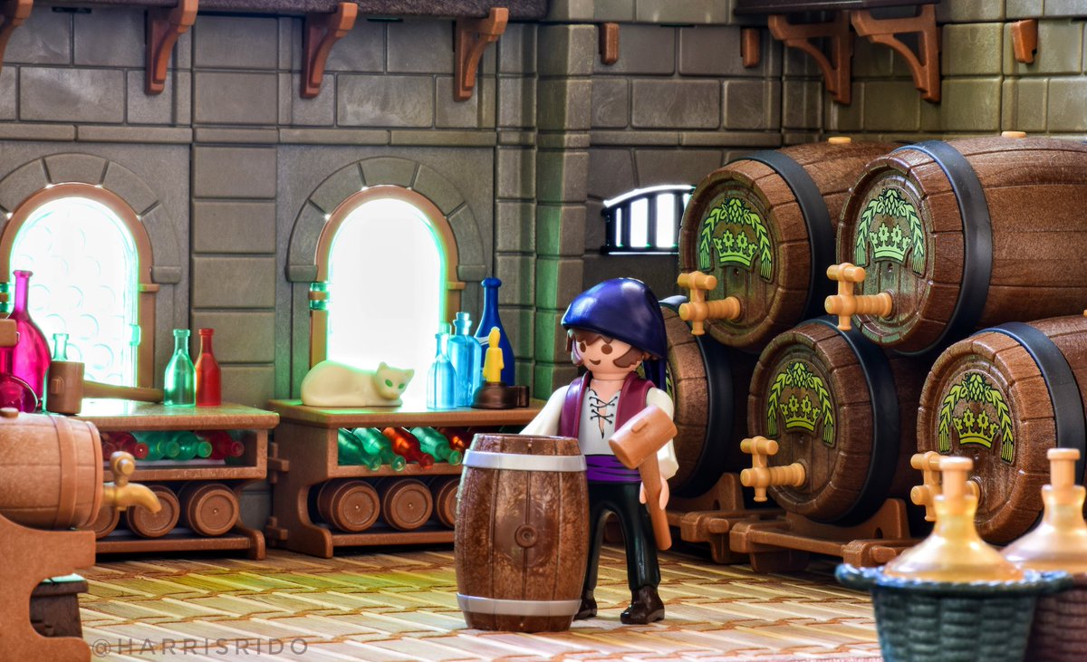 Daily chores with attitude❗@playmobil #toys #vineyard #wine #bottle #barrel #playmobil #toycollector #naturallight #photography #viñedo #bodega #cava #toyartistry_elite #gato #blanco #white #cat #spielzeug