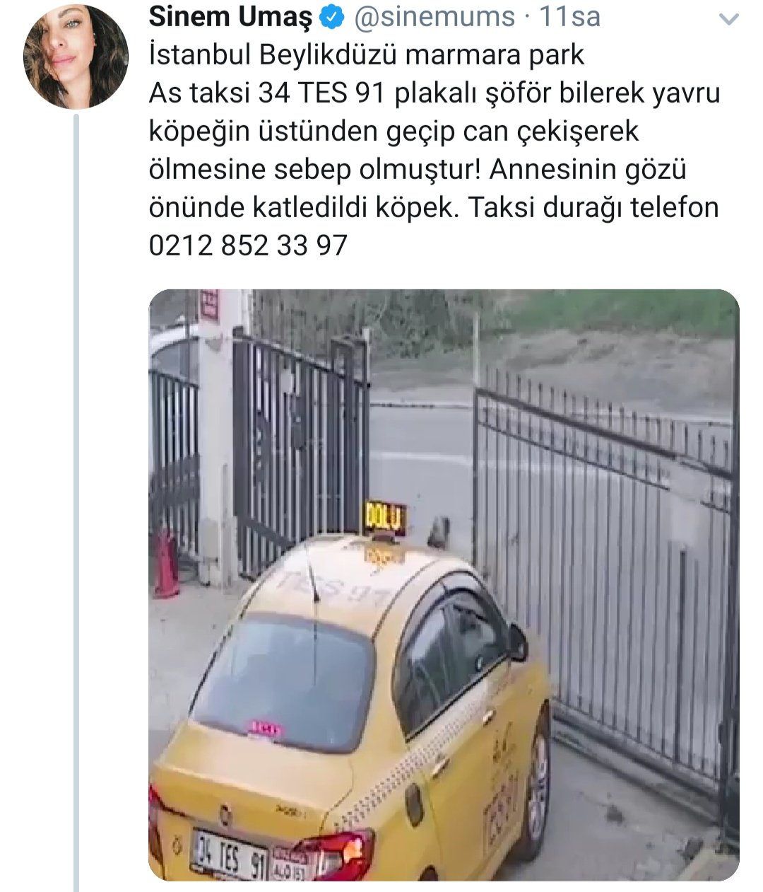 تويتر dduru85 bonito على تويتر beylikduzu marmara park as taksi 34 tes 91 asagilik hayvan katili sen ve senin gibi pislikler dilerim hem yasalardan hem allah tan bulursunuz cezanizi beylikduzu marmarapark 34tes91