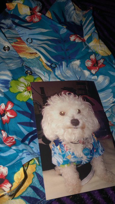 I miss him soooooo much yo https://t.co/Gio2rR21mL