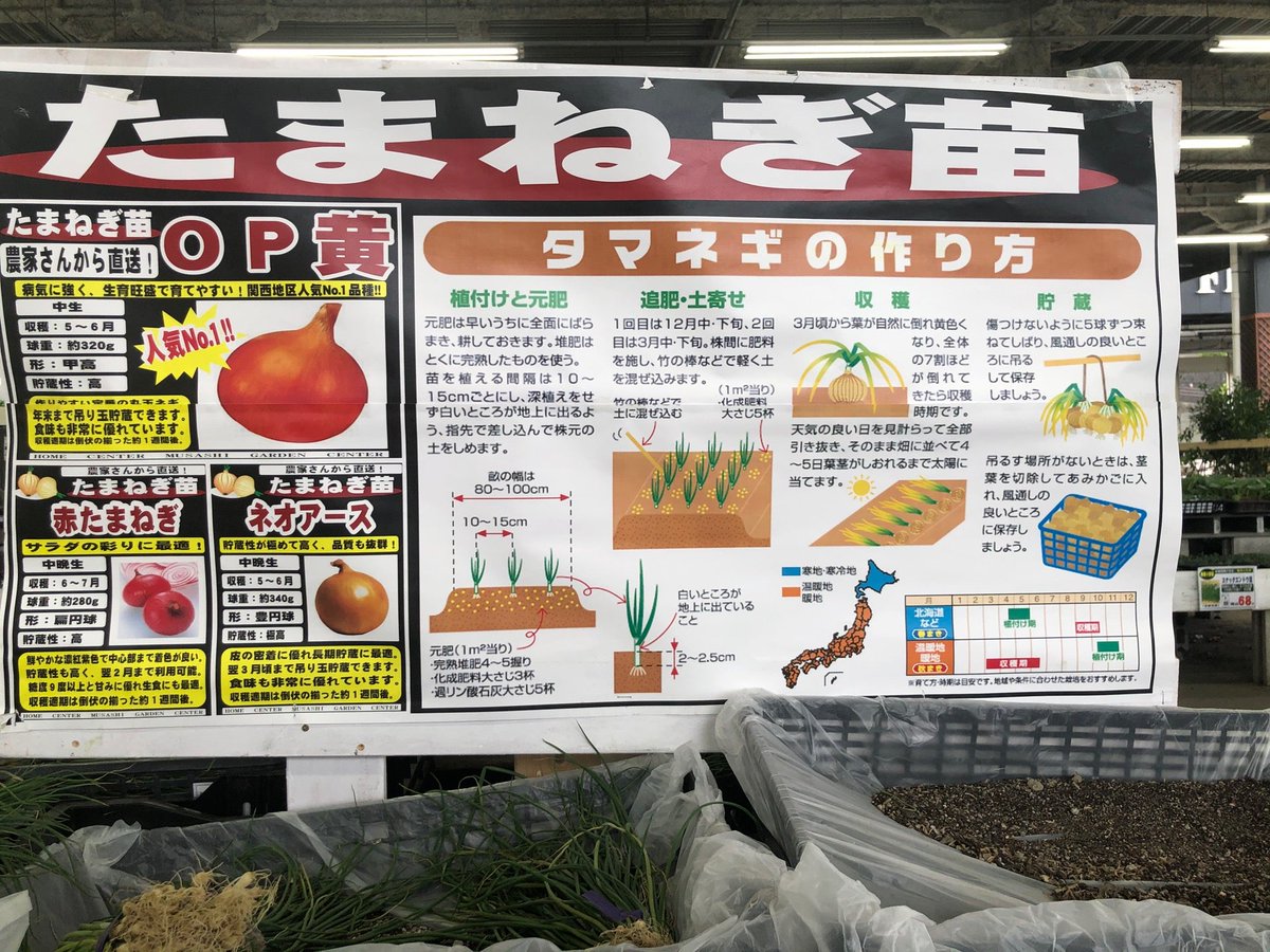 Ganさん Di Twitter シクラメンと苗を ホームセンタームサシ 園芸売場 In 八幡市 京都府 T Co Ot6kyzzomb Ganさん Di Twitter シクラメンと苗を ホームセンタームサシ 園芸売場 In 八幡市 京都府 T Co Ot6kyzzomb