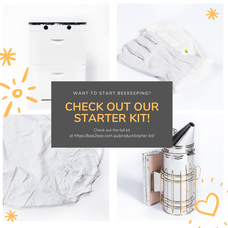 Bee2Bee Beekeeping Supplie @Bee2BeeAus - Twitter Profile | TwStalker